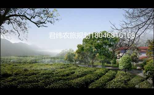 茶叶产业发展实施方案